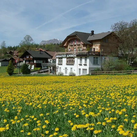 Alpenrose Beim Ballenberg 3* Hofstetten bei Brienz