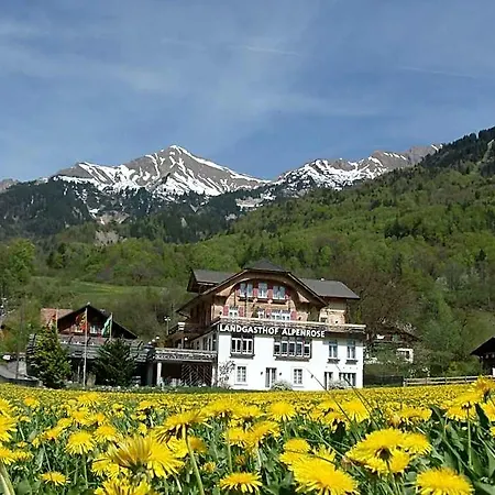 Alpenrose Beim Ballenberg Hofstetten bei Brienz