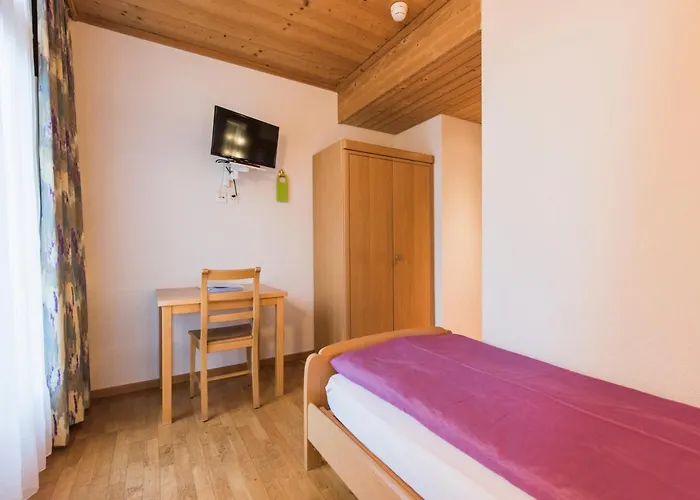 Alpenrose Beim Ballenberg 3*