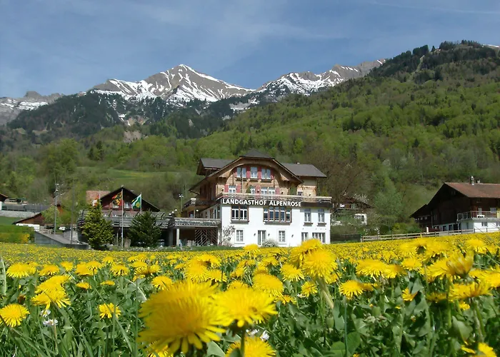 Alpenrose Beim Ballenberg 3*