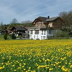 Alpenrose Beim Ballenberg 3* Hofstetten bei Brienz