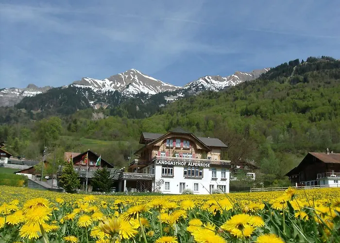 Alpenrose Beim Ballenberg 3* Hofstetten bei Brienz