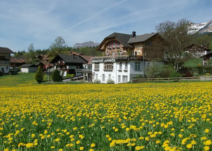Alpenrose Beim Ballenberg 3* Hofstetten bei Brienz